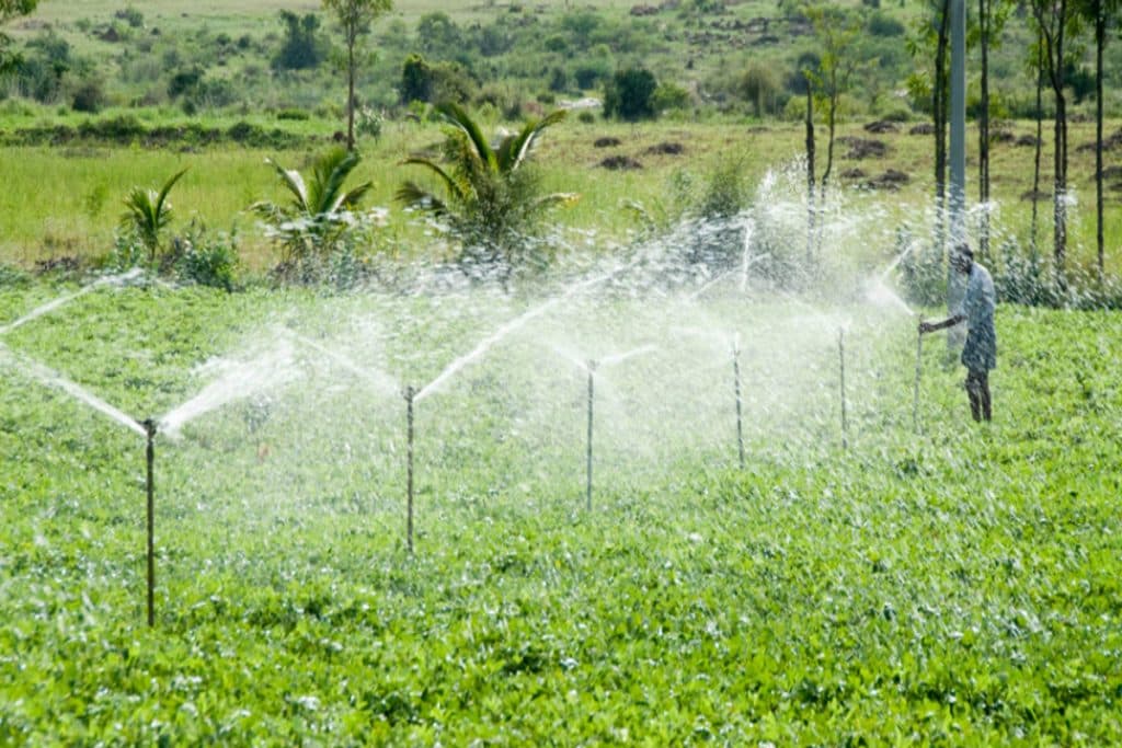 Irrigation Projects